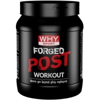 Forged Post Workout 600g